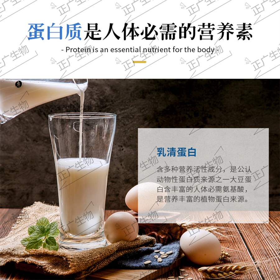 乳清蛋白固體飲料代工廠(chǎng)
