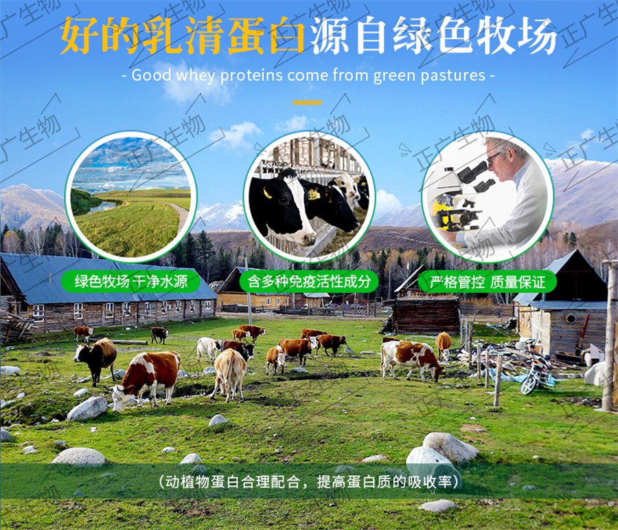 乳清蛋白固體飲料代工廠(chǎng)